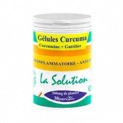 Gelules Curcuma Qui A Fabriqué — En Cote D'Ivoire Acheter — Prix 24900 ₣